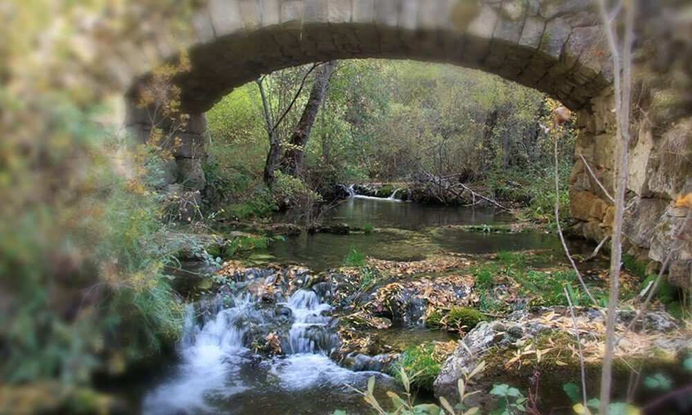 places-hoz-betetas