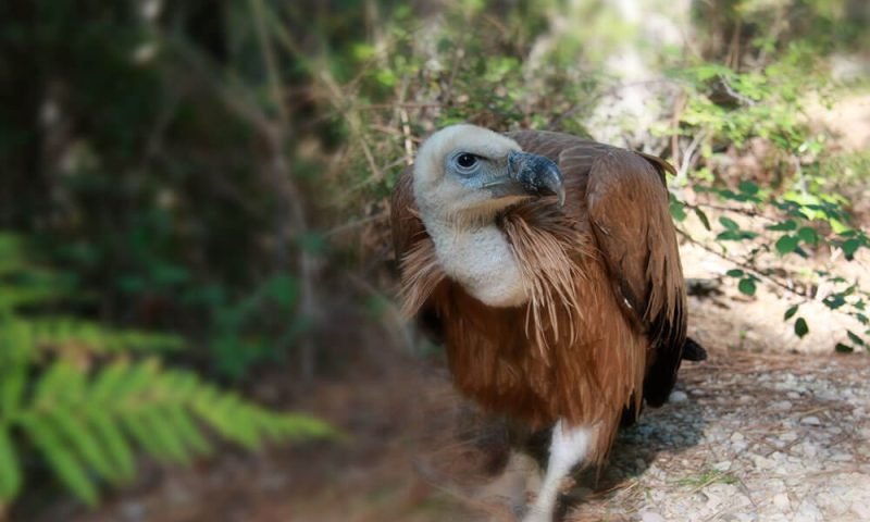 places-parque-natural