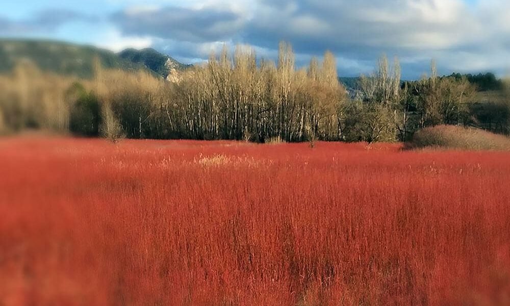 places-rutas-mimbre